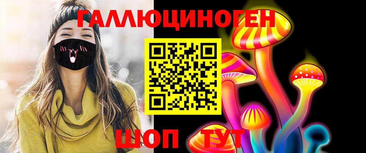 Псилоцибиновые грибы Psilocybe Менделеевск