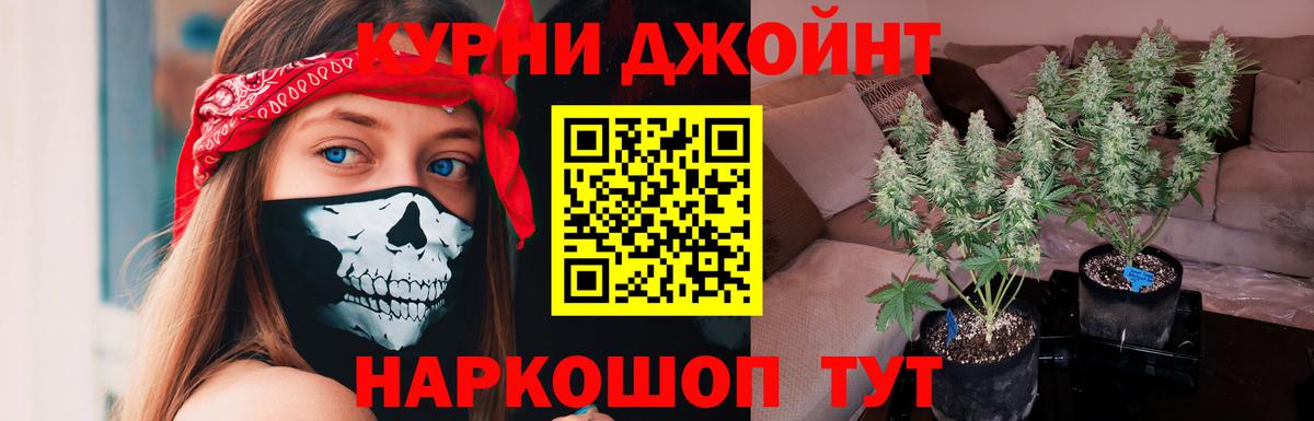 Менделеевск  Шишки марихуана Ganja  Каннабис Ganja  Вход с VPN  Каннабис Ganja 